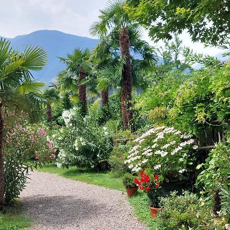 Nora S Home 1 - Panoramic Terrace & Bio Garden Merano Esterno foto