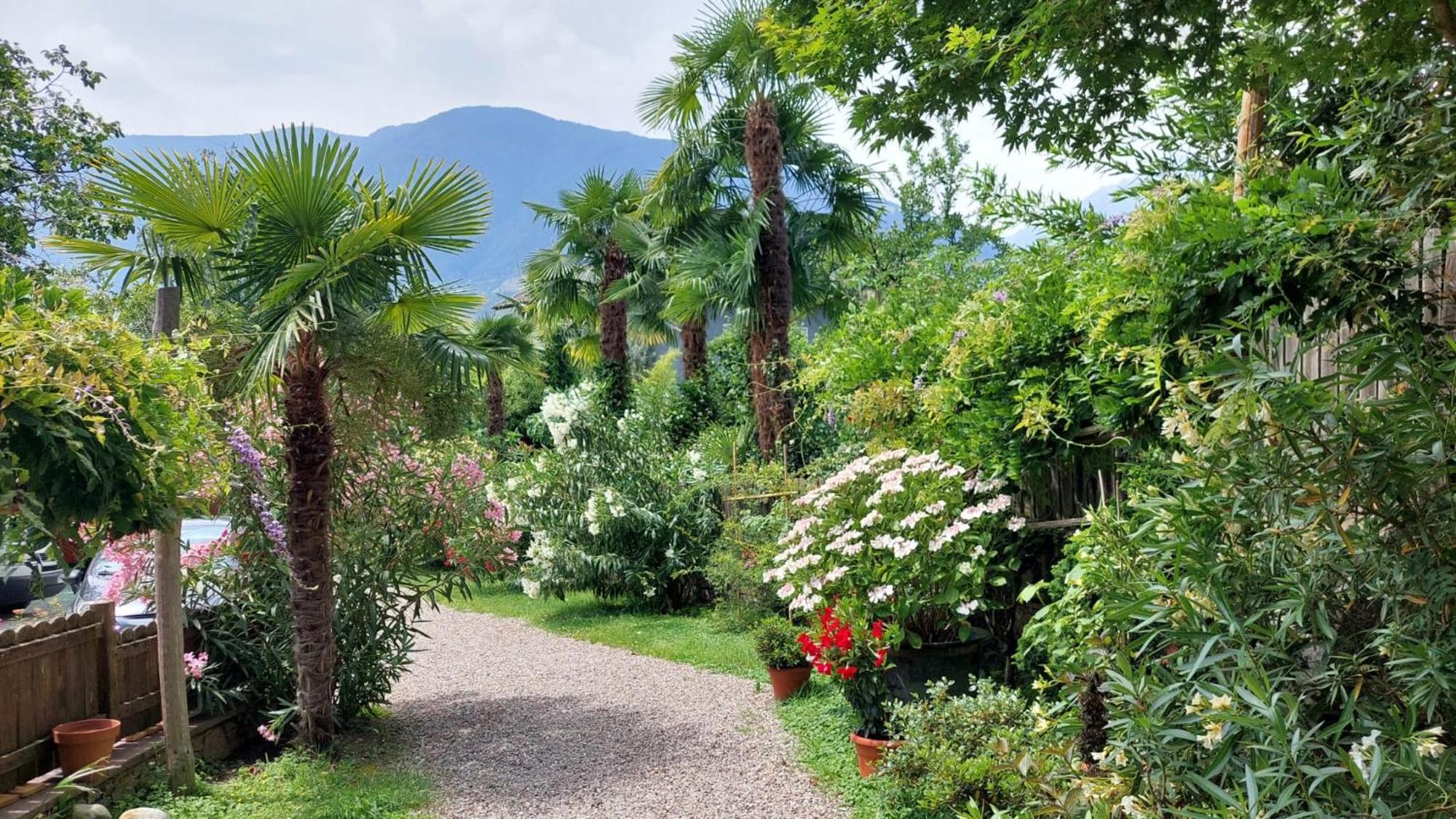 Nora S Home 1 - Panoramic Terrace & Bio Garden Merano Esterno foto